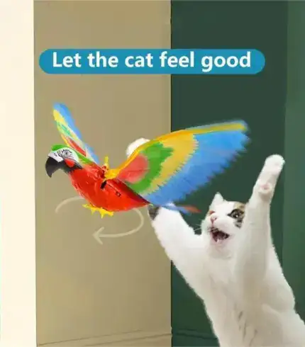 Home-Bound Hunt: Indoor Avian Entertainment System For Cats