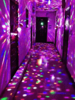Colorful Rotating Disco Ball Light