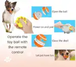 Smart Pet Play Ball with Remote Control