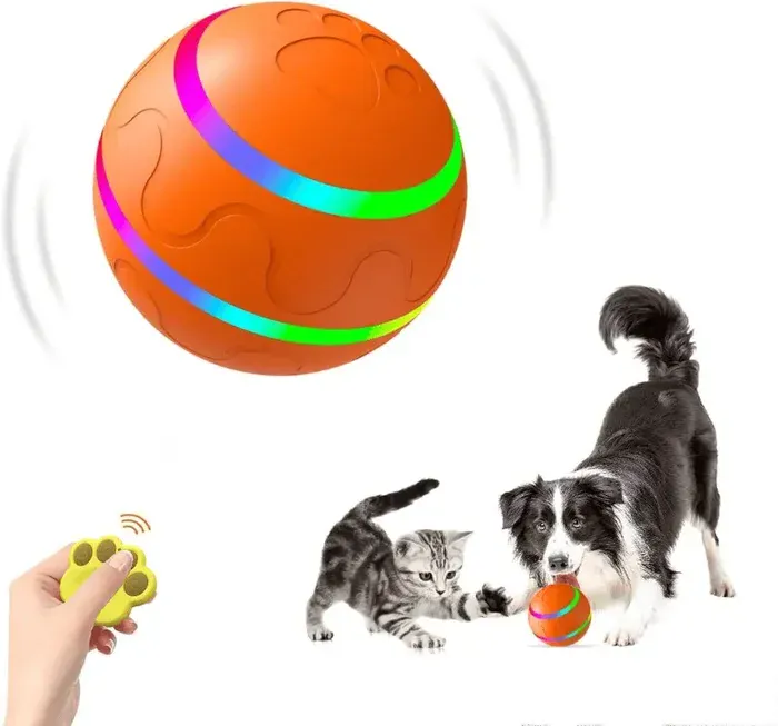 Playful pet toy