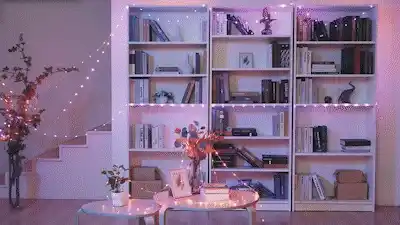 Bluetooth fairy lights