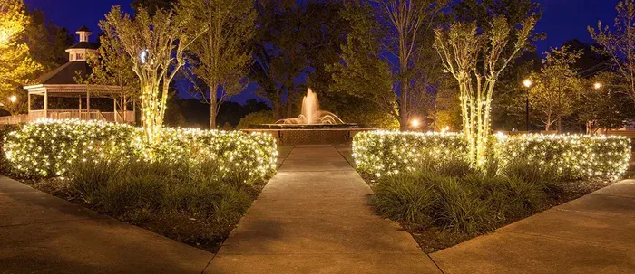 Decorating with Net Lights