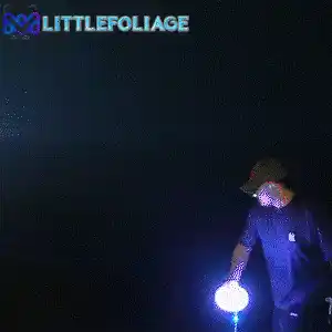 Durable LED lights