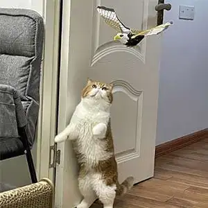 Customer playing with toy