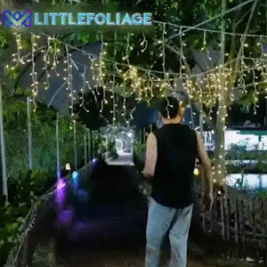 Colorful LED lights